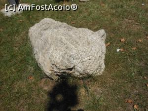 [P21] Pietroasele - In parc. » foto by iulianic
 - 
<span class="allrVoted glyphicon glyphicon-heart hidden" id="av1305988"></span>
<a class="m-l-10 hidden" id="sv1305988" onclick="voting_Foto_DelVot(,1305988,5439)" role="button">șterge vot <span class="glyphicon glyphicon-remove"></span></a>
<a id="v91305988" class=" c-red"  onclick="voting_Foto_SetVot(1305988)" role="button"><span class="glyphicon glyphicon-heart-empty"></span> <b>LIKE</b> = Votează poza</a> <img class="hidden"  id="f1305988W9" src="/imagini/loader.gif" border="0" /><span class="AjErrMes hidden" id="e1305988ErM"></span>