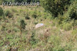 [P11] Poteca spre  Schiturile Rupestre Bozioru marcată cu Punct albastru » foto by mprofeanu
 - 
<span class="allrVoted glyphicon glyphicon-heart hidden" id="av1409660"></span>
<a class="m-l-10 hidden" id="sv1409660" onclick="voting_Foto_DelVot(,1409660,5439)" role="button">șterge vot <span class="glyphicon glyphicon-remove"></span></a>
<a id="v91409660" class=" c-red"  onclick="voting_Foto_SetVot(1409660)" role="button"><span class="glyphicon glyphicon-heart-empty"></span> <b>LIKE</b> = Votează poza</a> <img class="hidden"  id="f1409660W9" src="/imagini/loader.gif" border="0" /><span class="AjErrMes hidden" id="e1409660ErM"></span>