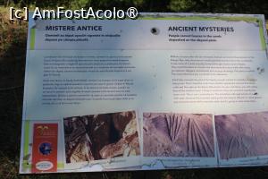 [P12] Panou explicativ despre Schitul Fundul Peșterii pe drumul ce duce la Poiana Cozanei și apoi la  Schiturile Rupestre Bozioru » foto by mprofeanu
 - 
<span class="allrVoted glyphicon glyphicon-heart hidden" id="av1409661"></span>
<a class="m-l-10 hidden" id="sv1409661" onclick="voting_Foto_DelVot(,1409661,5439)" role="button">șterge vot <span class="glyphicon glyphicon-remove"></span></a>
<a id="v91409661" class=" c-red"  onclick="voting_Foto_SetVot(1409661)" role="button"><span class="glyphicon glyphicon-heart-empty"></span> <b>LIKE</b> = Votează poza</a> <img class="hidden"  id="f1409661W9" src="/imagini/loader.gif" border="0" /><span class="AjErrMes hidden" id="e1409661ErM"></span>