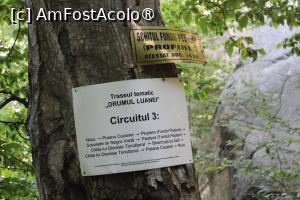 [P13] Panou explicativ cu Circuitul 3 pentru Schiturile Rupestre Bozioru, aflat foarte aproape de Schitul Fundul Peșterii » foto by mprofeanu
 - 
<span class="allrVoted glyphicon glyphicon-heart hidden" id="av1409662"></span>
<a class="m-l-10 hidden" id="sv1409662" onclick="voting_Foto_DelVot(,1409662,5439)" role="button">șterge vot <span class="glyphicon glyphicon-remove"></span></a>
<a id="v91409662" class=" c-red"  onclick="voting_Foto_SetVot(1409662)" role="button"><span class="glyphicon glyphicon-heart-empty"></span> <b>LIKE</b> = Votează poza</a> <img class="hidden"  id="f1409662W9" src="/imagini/loader.gif" border="0" /><span class="AjErrMes hidden" id="e1409662ErM"></span>
