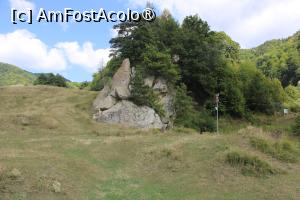 [P19] Schiturile Rupestre Bozioru, Indicatorul din Poiana Cozanei, Stânca reper, vom merge pe poteca din stânga ei... » foto by mprofeanu
 - 
<span class="allrVoted glyphicon glyphicon-heart hidden" id="av1409668"></span>
<a class="m-l-10 hidden" id="sv1409668" onclick="voting_Foto_DelVot(,1409668,5439)" role="button">șterge vot <span class="glyphicon glyphicon-remove"></span></a>
<a id="v91409668" class=" c-red"  onclick="voting_Foto_SetVot(1409668)" role="button"><span class="glyphicon glyphicon-heart-empty"></span> <b>LIKE</b> = Votează poza</a> <img class="hidden"  id="f1409668W9" src="/imagini/loader.gif" border="0" /><span class="AjErrMes hidden" id="e1409668ErM"></span>