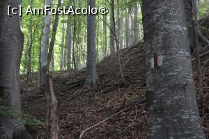[P33] Poteca cu marcaje pe drumul ce duce la Bisericuța lui Iosif, era și cel albastru cu care ne obișnuisem... » foto by mprofeanu
 - 
<span class="allrVoted glyphicon glyphicon-heart hidden" id="av1409682"></span>
<a class="m-l-10 hidden" id="sv1409682" onclick="voting_Foto_DelVot(,1409682,5439)" role="button">șterge vot <span class="glyphicon glyphicon-remove"></span></a>
<a id="v91409682" class=" c-red"  onclick="voting_Foto_SetVot(1409682)" role="button"><span class="glyphicon glyphicon-heart-empty"></span> <b>LIKE</b> = Votează poza</a> <img class="hidden"  id="f1409682W9" src="/imagini/loader.gif" border="0" /><span class="AjErrMes hidden" id="e1409682ErM"></span>