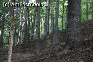 [P34] Poteca cu marcaje pe drumul ce duce la Bisericuța lui Iosif » foto by mprofeanu
 - 
<span class="allrVoted glyphicon glyphicon-heart hidden" id="av1409683"></span>
<a class="m-l-10 hidden" id="sv1409683" onclick="voting_Foto_DelVot(,1409683,5439)" role="button">șterge vot <span class="glyphicon glyphicon-remove"></span></a>
<a id="v91409683" class=" c-red"  onclick="voting_Foto_SetVot(1409683)" role="button"><span class="glyphicon glyphicon-heart-empty"></span> <b>LIKE</b> = Votează poza</a> <img class="hidden"  id="f1409683W9" src="/imagini/loader.gif" border="0" /><span class="AjErrMes hidden" id="e1409683ErM"></span>