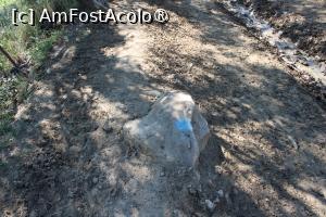 [P07] Drumul marcat cu Punct albastru spre Schiturile Rupestre Bozioru, așa era peste tot... » foto by mprofeanu
 - 
<span class="allrVoted glyphicon glyphicon-heart hidden" id="av1409656"></span>
<a class="m-l-10 hidden" id="sv1409656" onclick="voting_Foto_DelVot(,1409656,5439)" role="button">șterge vot <span class="glyphicon glyphicon-remove"></span></a>
<a id="v91409656" class=" c-red"  onclick="voting_Foto_SetVot(1409656)" role="button"><span class="glyphicon glyphicon-heart-empty"></span> <b>LIKE</b> = Votează poza</a> <img class="hidden"  id="f1409656W9" src="/imagini/loader.gif" border="0" /><span class="AjErrMes hidden" id="e1409656ErM"></span>