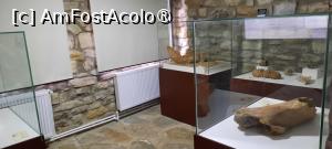 [P06] Colți, Județul Buzău, Muzeul Chihlimbarului, Parter, Sala 2 „Colți preistorici”, Oasele unor mamifere cuaternare gigantice » foto by mprofeanu
 - 
<span class="allrVoted glyphicon glyphicon-heart hidden" id="av1413600"></span>
<a class="m-l-10 hidden" id="sv1413600" onclick="voting_Foto_DelVot(,1413600,5439)" role="button">șterge vot <span class="glyphicon glyphicon-remove"></span></a>
<a id="v91413600" class=" c-red"  onclick="voting_Foto_SetVot(1413600)" role="button"><span class="glyphicon glyphicon-heart-empty"></span> <b>LIKE</b> = Votează poza</a> <img class="hidden"  id="f1413600W9" src="/imagini/loader.gif" border="0" /><span class="AjErrMes hidden" id="e1413600ErM"></span>