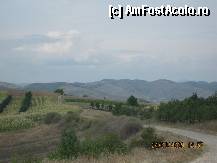 [P02] Pana la urma, fiecare drum isi are farmecul sau » foto by BEBEPETRESCU
 - 
<span class="allrVoted glyphicon glyphicon-heart hidden" id="av288657"></span>
<a class="m-l-10 hidden" id="sv288657" onclick="voting_Foto_DelVot(,288657,5439)" role="button">șterge vot <span class="glyphicon glyphicon-remove"></span></a>
<a id="v9288657" class=" c-red"  onclick="voting_Foto_SetVot(288657)" role="button"><span class="glyphicon glyphicon-heart-empty"></span> <b>LIKE</b> = Votează poza</a> <img class="hidden"  id="f288657W9" src="/imagini/loader.gif" border="0" /><span class="AjErrMes hidden" id="e288657ErM"></span>