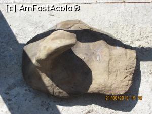 [P33] plug dacic gasit in urma sapaturilor » foto by adri-nico
 - 
<span class="allrVoted glyphicon glyphicon-heart hidden" id="av782188"></span>
<a class="m-l-10 hidden" id="sv782188" onclick="voting_Foto_DelVot(,782188,5439)" role="button">șterge vot <span class="glyphicon glyphicon-remove"></span></a>
<a id="v9782188" class=" c-red"  onclick="voting_Foto_SetVot(782188)" role="button"><span class="glyphicon glyphicon-heart-empty"></span> <b>LIKE</b> = Votează poza</a> <img class="hidden"  id="f782188W9" src="/imagini/loader.gif" border="0" /><span class="AjErrMes hidden" id="e782188ErM"></span>