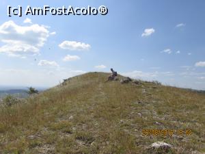 [P23] coama de pe care a cazut un atv in accident mortal » foto by adri-nico
 - 
<span class="allrVoted glyphicon glyphicon-heart hidden" id="av782854"></span>
<a class="m-l-10 hidden" id="sv782854" onclick="voting_Foto_DelVot(,782854,5439)" role="button">șterge vot <span class="glyphicon glyphicon-remove"></span></a>
<a id="v9782854" class=" c-red"  onclick="voting_Foto_SetVot(782854)" role="button"><span class="glyphicon glyphicon-heart-empty"></span> <b>LIKE</b> = Votează poza</a> <img class="hidden"  id="f782854W9" src="/imagini/loader.gif" border="0" /><span class="AjErrMes hidden" id="e782854ErM"></span>