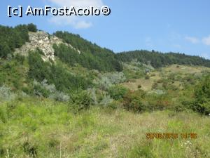 [P26] mai avem un pic, se vede piatra soimului » foto by adri-nico
 - 
<span class="allrVoted glyphicon glyphicon-heart hidden" id="av782863"></span>
<a class="m-l-10 hidden" id="sv782863" onclick="voting_Foto_DelVot(,782863,5439)" role="button">șterge vot <span class="glyphicon glyphicon-remove"></span></a>
<a id="v9782863" class=" c-red"  onclick="voting_Foto_SetVot(782863)" role="button"><span class="glyphicon glyphicon-heart-empty"></span> <b>LIKE</b> = Votează poza</a> <img class="hidden"  id="f782863W9" src="/imagini/loader.gif" border="0" /><span class="AjErrMes hidden" id="e782863ErM"></span>