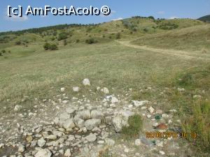 [P58] cine isi da seama ca acolo e fintinita? doar o insetata ca mine!  » foto by adri-nico
 - 
<span class="allrVoted glyphicon glyphicon-heart hidden" id="av782958"></span>
<a class="m-l-10 hidden" id="sv782958" onclick="voting_Foto_DelVot(,782958,5439)" role="button">șterge vot <span class="glyphicon glyphicon-remove"></span></a>
<a id="v9782958" class=" c-red"  onclick="voting_Foto_SetVot(782958)" role="button"><span class="glyphicon glyphicon-heart-empty"></span> <b>LIKE</b> = Votează poza</a> <img class="hidden"  id="f782958W9" src="/imagini/loader.gif" border="0" /><span class="AjErrMes hidden" id="e782958ErM"></span>