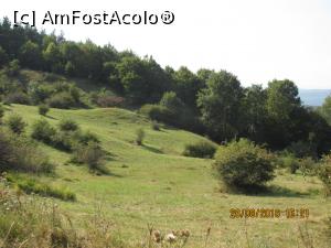 [P59] aici vreau sa stau cu cortul!!!  » foto by adri-nico
 - 
<span class="allrVoted glyphicon glyphicon-heart hidden" id="av782962"></span>
<a class="m-l-10 hidden" id="sv782962" onclick="voting_Foto_DelVot(,782962,5439)" role="button">șterge vot <span class="glyphicon glyphicon-remove"></span></a>
<a id="v9782962" class=" c-red"  onclick="voting_Foto_SetVot(782962)" role="button"><span class="glyphicon glyphicon-heart-empty"></span> <b>LIKE</b> = Votează poza</a> <img class="hidden"  id="f782962W9" src="/imagini/loader.gif" border="0" /><span class="AjErrMes hidden" id="e782962ErM"></span>