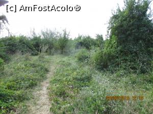[P08] curtea napadita de buruieni » foto by adri-nico
 - 
<span class="allrVoted glyphicon glyphicon-heart hidden" id="av782817"></span>
<a class="m-l-10 hidden" id="sv782817" onclick="voting_Foto_DelVot(,782817,5439)" role="button">șterge vot <span class="glyphicon glyphicon-remove"></span></a>
<a id="v9782817" class=" c-red"  onclick="voting_Foto_SetVot(782817)" role="button"><span class="glyphicon glyphicon-heart-empty"></span> <b>LIKE</b> = Votează poza</a> <img class="hidden"  id="f782817W9" src="/imagini/loader.gif" border="0" /><span class="AjErrMes hidden" id="e782817ErM"></span>