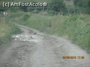 [P01] drumul pina la cruce si o fazanita.  » foto by adri-nico
 - 
<span class="allrVoted glyphicon glyphicon-heart hidden" id="av784111"></span>
<a class="m-l-10 hidden" id="sv784111" onclick="voting_Foto_DelVot(,784111,5439)" role="button">șterge vot <span class="glyphicon glyphicon-remove"></span></a>
<a id="v9784111" class=" c-red"  onclick="voting_Foto_SetVot(784111)" role="button"><span class="glyphicon glyphicon-heart-empty"></span> <b>LIKE</b> = Votează poza</a> <img class="hidden"  id="f784111W9" src="/imagini/loader.gif" border="0" /><span class="AjErrMes hidden" id="e784111ErM"></span>