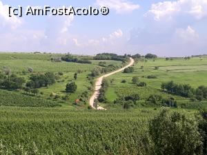 [P01] Crama LacertA din satul Fintesti,comuna Naieni,judetul Buzau.Drumul care se desprinde din soseaua principala si duce in varf de deal, la crama LacertA. » foto by Floria
 - 
<span class="allrVoted glyphicon glyphicon-heart hidden" id="av1211003"></span>
<a class="m-l-10 hidden" id="sv1211003" onclick="voting_Foto_DelVot(,1211003,5439)" role="button">șterge vot <span class="glyphicon glyphicon-remove"></span></a>
<a id="v91211003" class=" c-red"  onclick="voting_Foto_SetVot(1211003)" role="button"><span class="glyphicon glyphicon-heart-empty"></span> <b>LIKE</b> = Votează poza</a> <img class="hidden"  id="f1211003W9" src="/imagini/loader.gif" border="0" /><span class="AjErrMes hidden" id="e1211003ErM"></span>