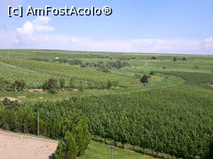 [P14] Crama LacertA Fintesti.Vedere de pe terasa mica a salii de degustare spre plantatia de vita de vie. » foto by Floria
 - 
<span class="allrVoted glyphicon glyphicon-heart hidden" id="av1211016"></span>
<a class="m-l-10 hidden" id="sv1211016" onclick="voting_Foto_DelVot(,1211016,5439)" role="button">șterge vot <span class="glyphicon glyphicon-remove"></span></a>
<a id="v91211016" class=" c-red"  onclick="voting_Foto_SetVot(1211016)" role="button"><span class="glyphicon glyphicon-heart-empty"></span> <b>LIKE</b> = Votează poza</a> <img class="hidden"  id="f1211016W9" src="/imagini/loader.gif" border="0" /><span class="AjErrMes hidden" id="e1211016ErM"></span>