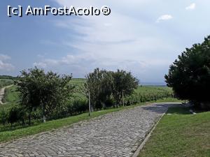 [P16] Crama LacertA Fintesti.In apropierea cramei,pomi fructiferi cu roade parguite. » foto by Floria
 - 
<span class="allrVoted glyphicon glyphicon-heart hidden" id="av1211018"></span>
<a class="m-l-10 hidden" id="sv1211018" onclick="voting_Foto_DelVot(,1211018,5439)" role="button">șterge vot <span class="glyphicon glyphicon-remove"></span></a>
<a id="v91211018" class=" c-red"  onclick="voting_Foto_SetVot(1211018)" role="button"><span class="glyphicon glyphicon-heart-empty"></span> <b>LIKE</b> = Votează poza</a> <img class="hidden"  id="f1211018W9" src="/imagini/loader.gif" border="0" /><span class="AjErrMes hidden" id="e1211018ErM"></span>