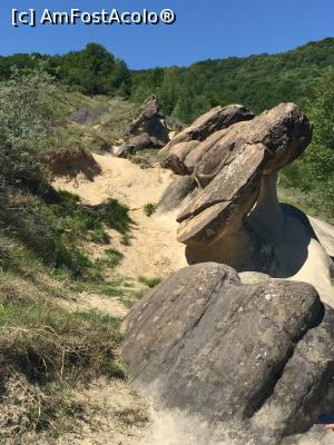 [P18] incredibile forme sculptate in piatra - natura vie » foto by Dan&Ema
 - 
<span class="allrVoted glyphicon glyphicon-heart hidden" id="av866193"></span>
<a class="m-l-10 hidden" id="sv866193" onclick="voting_Foto_DelVot(,866193,5439)" role="button">șterge vot <span class="glyphicon glyphicon-remove"></span></a>
<a id="v9866193" class=" c-red"  onclick="voting_Foto_SetVot(866193)" role="button"><span class="glyphicon glyphicon-heart-empty"></span> <b>LIKE</b> = Votează poza</a> <img class="hidden"  id="f866193W9" src="/imagini/loader.gif" border="0" /><span class="AjErrMes hidden" id="e866193ErM"></span>