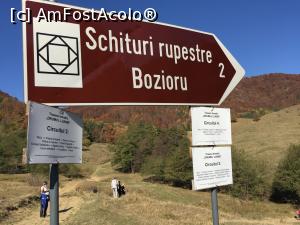 [P10] Indicatoare si trasee in Poiana Cizanei » foto by Dan&Ema
 - 
<span class="allrVoted glyphicon glyphicon-heart hidden" id="av915194"></span>
<a class="m-l-10 hidden" id="sv915194" onclick="voting_Foto_DelVot(,915194,5439)" role="button">șterge vot <span class="glyphicon glyphicon-remove"></span></a>
<a id="v9915194" class=" c-red"  onclick="voting_Foto_SetVot(915194)" role="button"><span class="glyphicon glyphicon-heart-empty"></span> <b>LIKE</b> = Votează poza</a> <img class="hidden"  id="f915194W9" src="/imagini/loader.gif" border="0" /><span class="AjErrMes hidden" id="e915194ErM"></span>