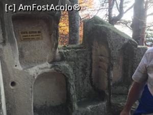 [P36] Agatonul Nou » foto by Dan&Ema
 - 
<span class="allrVoted glyphicon glyphicon-heart hidden" id="av915250"></span>
<a class="m-l-10 hidden" id="sv915250" onclick="voting_Foto_DelVot(,915250,5439)" role="button">șterge vot <span class="glyphicon glyphicon-remove"></span></a>
<a id="v9915250" class=" c-red"  onclick="voting_Foto_SetVot(915250)" role="button"><span class="glyphicon glyphicon-heart-empty"></span> <b>LIKE</b> = Votează poza</a> <img class="hidden"  id="f915250W9" src="/imagini/loader.gif" border="0" /><span class="AjErrMes hidden" id="e915250ErM"></span>