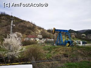 [P11] Exploatare petrolieră în Beciu » foto by crismis
 - 
<span class="allrVoted glyphicon glyphicon-heart hidden" id="av1230389"></span>
<a class="m-l-10 hidden" id="sv1230389" onclick="voting_Foto_DelVot(,1230389,5439)" role="button">șterge vot <span class="glyphicon glyphicon-remove"></span></a>
<a id="v91230389" class=" c-red"  onclick="voting_Foto_SetVot(1230389)" role="button"><span class="glyphicon glyphicon-heart-empty"></span> <b>LIKE</b> = Votează poza</a> <img class="hidden"  id="f1230389W9" src="/imagini/loader.gif" border="0" /><span class="AjErrMes hidden" id="e1230389ErM"></span>