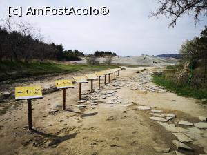 [P02] Vulcanii Noroioși - Pâclele Mari; aleea de început. În dreapta se face traseul cu panouri explicative, în față sunt „vulcanii” » foto by crismis
 - 
<span class="allrVoted glyphicon glyphicon-heart hidden" id="av1230380"></span>
<a class="m-l-10 hidden" id="sv1230380" onclick="voting_Foto_DelVot(,1230380,5439)" role="button">șterge vot <span class="glyphicon glyphicon-remove"></span></a>
<a id="v91230380" class=" c-red"  onclick="voting_Foto_SetVot(1230380)" role="button"><span class="glyphicon glyphicon-heart-empty"></span> <b>LIKE</b> = Votează poza</a> <img class="hidden"  id="f1230380W9" src="/imagini/loader.gif" border="0" /><span class="AjErrMes hidden" id="e1230380ErM"></span>