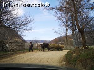 [P37] Peisaj rural în Ținutul Buzăului » foto by crismis
 - 
<span class="allrVoted glyphicon glyphicon-heart hidden" id="av1230415"></span>
<a class="m-l-10 hidden" id="sv1230415" onclick="voting_Foto_DelVot(,1230415,5439)" role="button">șterge vot <span class="glyphicon glyphicon-remove"></span></a>
<a id="v91230415" class=" c-red"  onclick="voting_Foto_SetVot(1230415)" role="button"><span class="glyphicon glyphicon-heart-empty"></span> <b>LIKE</b> = Votează poza</a> <img class="hidden"  id="f1230415W9" src="/imagini/loader.gif" border="0" /><span class="AjErrMes hidden" id="e1230415ErM"></span>