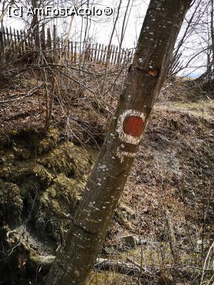 [P42] Pe traseul spre Focul Viu (marcat chiar!) » foto by crismis
 - 
<span class="allrVoted glyphicon glyphicon-heart hidden" id="av1230420"></span>
<a class="m-l-10 hidden" id="sv1230420" onclick="voting_Foto_DelVot(,1230420,5439)" role="button">șterge vot <span class="glyphicon glyphicon-remove"></span></a>
<a id="v91230420" class=" c-red"  onclick="voting_Foto_SetVot(1230420)" role="button"><span class="glyphicon glyphicon-heart-empty"></span> <b>LIKE</b> = Votează poza</a> <img class="hidden"  id="f1230420W9" src="/imagini/loader.gif" border="0" /><span class="AjErrMes hidden" id="e1230420ErM"></span>