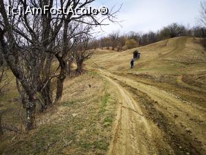 [P46] Se vede troița și ultima porțiune a traseului, abruptă, în dreapta » foto by crismis
 - 
<span class="allrVoted glyphicon glyphicon-heart hidden" id="av1230424"></span>
<a class="m-l-10 hidden" id="sv1230424" onclick="voting_Foto_DelVot(,1230424,5439)" role="button">șterge vot <span class="glyphicon glyphicon-remove"></span></a>
<a id="v91230424" class=" c-red"  onclick="voting_Foto_SetVot(1230424)" role="button"><span class="glyphicon glyphicon-heart-empty"></span> <b>LIKE</b> = Votează poza</a> <img class="hidden"  id="f1230424W9" src="/imagini/loader.gif" border="0" /><span class="AjErrMes hidden" id="e1230424ErM"></span>