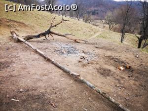 [P48] Focul Viu, în sfârșit! » foto by crismis
 - 
<span class="allrVoted glyphicon glyphicon-heart hidden" id="av1230426"></span>
<a class="m-l-10 hidden" id="sv1230426" onclick="voting_Foto_DelVot(,1230426,5439)" role="button">șterge vot <span class="glyphicon glyphicon-remove"></span></a>
<a id="v91230426" class=" c-red"  onclick="voting_Foto_SetVot(1230426)" role="button"><span class="glyphicon glyphicon-heart-empty"></span> <b>LIKE</b> = Votează poza</a> <img class="hidden"  id="f1230426W9" src="/imagini/loader.gif" border="0" /><span class="AjErrMes hidden" id="e1230426ErM"></span>