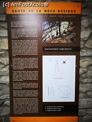 [P39] Muzeul Chihlimbarului Colți; despre micuța grotă de la Nucu » foto by crismis
 - 
<span class="allrVoted glyphicon glyphicon-heart hidden" id="av1237271"></span>
<a class="m-l-10 hidden" id="sv1237271" onclick="voting_Foto_DelVot(,1237271,5439)" role="button">șterge vot <span class="glyphicon glyphicon-remove"></span></a>
<a id="v91237271" class=" c-red"  onclick="voting_Foto_SetVot(1237271)" role="button"><span class="glyphicon glyphicon-heart-empty"></span> <b>LIKE</b> = Votează poza</a> <img class="hidden"  id="f1237271W9" src="/imagini/loader.gif" border="0" /><span class="AjErrMes hidden" id="e1237271ErM"></span>