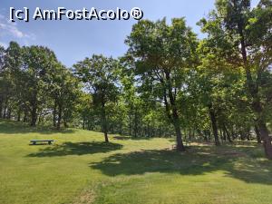 [P20] Plaiul Șoimului » foto by crismis
 - 
<span class="allrVoted glyphicon glyphicon-heart hidden" id="av1386631"></span>
<a class="m-l-10 hidden" id="sv1386631" onclick="voting_Foto_DelVot(,1386631,5439)" role="button">șterge vot <span class="glyphicon glyphicon-remove"></span></a>
<a id="v91386631" class=" c-red"  onclick="voting_Foto_SetVot(1386631)" role="button"><span class="glyphicon glyphicon-heart-empty"></span> <b>LIKE</b> = Votează poza</a> <img class="hidden"  id="f1386631W9" src="/imagini/loader.gif" border="0" /><span class="AjErrMes hidden" id="e1386631ErM"></span>
