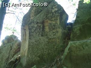 [P27] firida de la Agatonul Vechi » foto by buterfly*
 - 
<span class="allrVoted glyphicon glyphicon-heart hidden" id="av759877"></span>
<a class="m-l-10 hidden" id="sv759877" onclick="voting_Foto_DelVot(,759877,5439)" role="button">șterge vot <span class="glyphicon glyphicon-remove"></span></a>
<a id="v9759877" class=" c-red"  onclick="voting_Foto_SetVot(759877)" role="button"><span class="glyphicon glyphicon-heart-empty"></span> <b>LIKE</b> = Votează poza</a> <img class="hidden"  id="f759877W9" src="/imagini/loader.gif" border="0" /><span class="AjErrMes hidden" id="e759877ErM"></span>
