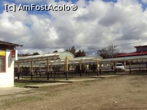 [P09] In fata conacului, chiar la sosea, se intind tarabele din piata agro-alimentara.  » foto by Carmen Ion
 - 
<span class="allrVoted glyphicon glyphicon-heart hidden" id="av844885"></span>
<a class="m-l-10 hidden" id="sv844885" onclick="voting_Foto_DelVot(,844885,5439)" role="button">șterge vot <span class="glyphicon glyphicon-remove"></span></a>
<a id="v9844885" class=" c-red"  onclick="voting_Foto_SetVot(844885)" role="button"><span class="glyphicon glyphicon-heart-empty"></span> <b>LIKE</b> = Votează poza</a> <img class="hidden"  id="f844885W9" src="/imagini/loader.gif" border="0" /><span class="AjErrMes hidden" id="e844885ErM"></span>