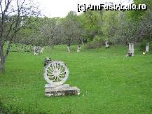 [P24] In aceeasi locatie » foto by zangela69
 - 
<span class="allrVoted glyphicon glyphicon-heart hidden" id="av64486"></span>
<a class="m-l-10 hidden" id="sv64486" onclick="voting_Foto_DelVot(,64486,5439)" role="button">șterge vot <span class="glyphicon glyphicon-remove"></span></a>
<a id="v964486" class=" c-red"  onclick="voting_Foto_SetVot(64486)" role="button"><span class="glyphicon glyphicon-heart-empty"></span> <b>LIKE</b> = Votează poza</a> <img class="hidden"  id="f64486W9" src="/imagini/loader.gif" border="0" /><span class="AjErrMes hidden" id="e64486ErM"></span>