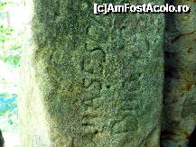 [P19] Inscriptie la intarea in Alunis 2 » foto by cristisch2003
 - 
<span class="allrVoted glyphicon glyphicon-heart hidden" id="av326860"></span>
<a class="m-l-10 hidden" id="sv326860" onclick="voting_Foto_DelVot(,326860,5439)" role="button">șterge vot <span class="glyphicon glyphicon-remove"></span></a>
<a id="v9326860" class=" c-red"  onclick="voting_Foto_SetVot(326860)" role="button"><span class="glyphicon glyphicon-heart-empty"></span> <b>LIKE</b> = Votează poza</a> <img class="hidden"  id="f326860W9" src="/imagini/loader.gif" border="0" /><span class="AjErrMes hidden" id="e326860ErM"></span>