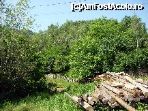 [P09]  -- <small>// FĂRĂ DESCRIERE</small> » foto by cristisch2003
 - 
<span class="allrVoted glyphicon glyphicon-heart hidden" id="av326850"></span>
<a class="m-l-10 hidden" id="sv326850" onclick="voting_Foto_DelVot(,326850,5439)" role="button">șterge vot <span class="glyphicon glyphicon-remove"></span></a>
<a id="v9326850" class=" c-red"  onclick="voting_Foto_SetVot(326850)" role="button"><span class="glyphicon glyphicon-heart-empty"></span> <b>LIKE</b> = Votează poza</a> <img class="hidden"  id="f326850W9" src="/imagini/loader.gif" border="0" /><span class="AjErrMes hidden" id="e326850ErM"></span>