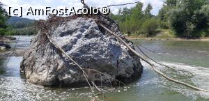 [P16] Plictisit rău, după cum se vede, un pic chelios și cam nepieptănat. » foto by Qvadratvus
 - 
<span class="allrVoted glyphicon glyphicon-heart hidden" id="av1263511"></span>
<a class="m-l-10 hidden" id="sv1263511" onclick="voting_Foto_DelVot(,1263511,5439)" role="button">șterge vot <span class="glyphicon glyphicon-remove"></span></a>
<a id="v91263511" class=" c-red"  onclick="voting_Foto_SetVot(1263511)" role="button"><span class="glyphicon glyphicon-heart-empty"></span> <b>LIKE</b> = Votează poza</a> <img class="hidden"  id="f1263511W9" src="/imagini/loader.gif" border="0" /><span class="AjErrMes hidden" id="e1263511ErM"></span>