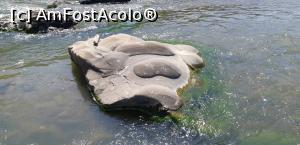 [P03] O fi vreunul cu tălpile în sus, plantat să-i prindă părul rădăcini? » foto by Qvadratvus
 - 
<span class="allrVoted glyphicon glyphicon-heart hidden" id="av1263498"></span>
<a class="m-l-10 hidden" id="sv1263498" onclick="voting_Foto_DelVot(,1263498,5439)" role="button">șterge vot <span class="glyphicon glyphicon-remove"></span></a>
<a id="v91263498" class=" c-red"  onclick="voting_Foto_SetVot(1263498)" role="button"><span class="glyphicon glyphicon-heart-empty"></span> <b>LIKE</b> = Votează poza</a> <img class="hidden"  id="f1263498W9" src="/imagini/loader.gif" border="0" /><span class="AjErrMes hidden" id="e1263498ErM"></span>