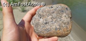 [P06] Câteva resturi dintr-un fund de mare, jurasic. » foto by Qvadratvus
 - 
<span class="allrVoted glyphicon glyphicon-heart hidden" id="av1263501"></span>
<a class="m-l-10 hidden" id="sv1263501" onclick="voting_Foto_DelVot(,1263501,5439)" role="button">șterge vot <span class="glyphicon glyphicon-remove"></span></a>
<a id="v91263501" class=" c-red"  onclick="voting_Foto_SetVot(1263501)" role="button"><span class="glyphicon glyphicon-heart-empty"></span> <b>LIKE</b> = Votează poza</a> <img class="hidden"  id="f1263501W9" src="/imagini/loader.gif" border="0" /><span class="AjErrMes hidden" id="e1263501ErM"></span>