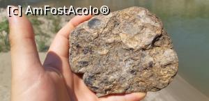 [P07] Câteva scoici ne privesc. Aia din colțul din stânga sus e mai curioasă, probabil. » foto by Qvadratvus
 - 
<span class="allrVoted glyphicon glyphicon-heart hidden" id="av1263502"></span>
<a class="m-l-10 hidden" id="sv1263502" onclick="voting_Foto_DelVot(,1263502,5439)" role="button">șterge vot <span class="glyphicon glyphicon-remove"></span></a>
<a id="v91263502" class=" c-red"  onclick="voting_Foto_SetVot(1263502)" role="button"><span class="glyphicon glyphicon-heart-empty"></span> <b>LIKE</b> = Votează poza</a> <img class="hidden"  id="f1263502W9" src="/imagini/loader.gif" border="0" /><span class="AjErrMes hidden" id="e1263502ErM"></span>