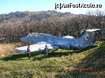 [P18] Carcasa Delfin L 29 din curtea 'Campusului' de la Bisoca. » foto by Qvadratvus
 - 
<span class="allrVoted glyphicon glyphicon-heart hidden" id="av159403"></span>
<a class="m-l-10 hidden" id="sv159403" onclick="voting_Foto_DelVot(,159403,5439)" role="button">șterge vot <span class="glyphicon glyphicon-remove"></span></a>
<a id="v9159403" class=" c-red"  onclick="voting_Foto_SetVot(159403)" role="button"><span class="glyphicon glyphicon-heart-empty"></span> <b>LIKE</b> = Votează poza</a> <img class="hidden"  id="f159403W9" src="/imagini/loader.gif" border="0" /><span class="AjErrMes hidden" id="e159403ErM"></span>