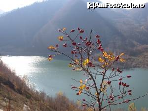 [P12] Peisaj de toamnă - lacul Siriu.  » foto by tata123 🔱
 - 
<span class="allrVoted glyphicon glyphicon-heart hidden" id="av702122"></span>
<a class="m-l-10 hidden" id="sv702122" onclick="voting_Foto_DelVot(,702122,5439)" role="button">șterge vot <span class="glyphicon glyphicon-remove"></span></a>
<a id="v9702122" class=" c-red"  onclick="voting_Foto_SetVot(702122)" role="button"><span class="glyphicon glyphicon-heart-empty"></span> <b>LIKE</b> = Votează poza</a> <img class="hidden"  id="f702122W9" src="/imagini/loader.gif" border="0" /><span class="AjErrMes hidden" id="e702122ErM"></span>