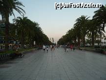 [P01] aleea de promenada » foto by celeste
 - 
<span class="allrVoted glyphicon glyphicon-heart hidden" id="av92545"></span>
<a class="m-l-10 hidden" id="sv92545" onclick="voting_Foto_DelVot(,92545,5455)" role="button">șterge vot <span class="glyphicon glyphicon-remove"></span></a>
<a id="v992545" class=" c-red"  onclick="voting_Foto_SetVot(92545)" role="button"><span class="glyphicon glyphicon-heart-empty"></span> <b>LIKE</b> = Votează poza</a> <img class="hidden"  id="f92545W9" src="/imagini/loader.gif" border="0" /><span class="AjErrMes hidden" id="e92545ErM"></span>