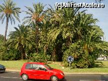 [P04] Rotonda cu palmieri din Salou » foto by sandu.53
 - 
<span class="allrVoted glyphicon glyphicon-heart hidden" id="av149914"></span>
<a class="m-l-10 hidden" id="sv149914" onclick="voting_Foto_DelVot(,149914,5455)" role="button">șterge vot <span class="glyphicon glyphicon-remove"></span></a>
<a id="v9149914" class=" c-red"  onclick="voting_Foto_SetVot(149914)" role="button"><span class="glyphicon glyphicon-heart-empty"></span> <b>LIKE</b> = Votează poza</a> <img class="hidden"  id="f149914W9" src="/imagini/loader.gif" border="0" /><span class="AjErrMes hidden" id="e149914ErM"></span>