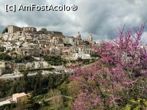 [P07] Ragusa in zi de Paşti » foto by Marius 72
 - 
<span class="allrVoted glyphicon glyphicon-heart hidden" id="av1381131"></span>
<a class="m-l-10 hidden" id="sv1381131" onclick="voting_Foto_DelVot(,1381131,5466)" role="button">șterge vot <span class="glyphicon glyphicon-remove"></span></a>
<a id="v91381131" class=" c-red"  onclick="voting_Foto_SetVot(1381131)" role="button"><span class="glyphicon glyphicon-heart-empty"></span> <b>LIKE</b> = Votează poza</a> <img class="hidden"  id="f1381131W9" src="/imagini/loader.gif" border="0" /><span class="AjErrMes hidden" id="e1381131ErM"></span>