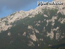 [P11] Masivul Piatra Craiului, in toata splendoarea, formatiuni de calcar si padurea la picioare. » foto by amota
 - 
<span class="allrVoted glyphicon glyphicon-heart hidden" id="av174813"></span>
<a class="m-l-10 hidden" id="sv174813" onclick="voting_Foto_DelVot(,174813,5474)" role="button">șterge vot <span class="glyphicon glyphicon-remove"></span></a>
<a id="v9174813" class=" c-red"  onclick="voting_Foto_SetVot(174813)" role="button"><span class="glyphicon glyphicon-heart-empty"></span> <b>LIKE</b> = Votează poza</a> <img class="hidden"  id="f174813W9" src="/imagini/loader.gif" border="0" /><span class="AjErrMes hidden" id="e174813ErM"></span>