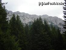 [P10] Peretii de calcar ai Pitrei Craiului vazuti de langa refugiul Spirla » foto by BOGDAN DSN
 - 
<span class="allrVoted glyphicon glyphicon-heart hidden" id="av273878"></span>
<a class="m-l-10 hidden" id="sv273878" onclick="voting_Foto_DelVot(,273878,5474)" role="button">șterge vot <span class="glyphicon glyphicon-remove"></span></a>
<a id="v9273878" class=" c-red"  onclick="voting_Foto_SetVot(273878)" role="button"><span class="glyphicon glyphicon-heart-empty"></span> <b>LIKE</b> = Votează poza</a> <img class="hidden"  id="f273878W9" src="/imagini/loader.gif" border="0" /><span class="AjErrMes hidden" id="e273878ErM"></span>