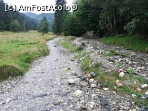 [P22] <strong>Descoperă zona Plaiul Foii </strong> » foto by ⭐ValentinB_88⭐
 - 
<span class="allrVoted glyphicon glyphicon-heart hidden" id="av1321009"></span>
<a class="m-l-10 hidden" id="sv1321009" onclick="voting_Foto_DelVot(,1321009,5474)" role="button">șterge vot <span class="glyphicon glyphicon-remove"></span></a>
<a id="v91321009" class=" c-red"  onclick="voting_Foto_SetVot(1321009)" role="button"><span class="glyphicon glyphicon-heart-empty"></span> <b>LIKE</b> = Votează poza</a> <img class="hidden"  id="f1321009W9" src="/imagini/loader.gif" border="0" /><span class="AjErrMes hidden" id="e1321009ErM"></span>