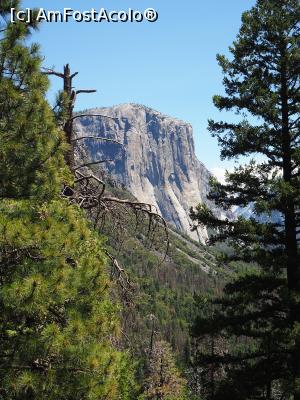 [P03] El Capitan, un bloc absolut imens de granit » foto by DanCld
 - 
<span class="allrVoted glyphicon glyphicon-heart hidden" id="av988090"></span>
<a class="m-l-10 hidden" id="sv988090" onclick="voting_Foto_DelVot(,988090,5485)" role="button">șterge vot <span class="glyphicon glyphicon-remove"></span></a>
<a id="v9988090" class=" c-red"  onclick="voting_Foto_SetVot(988090)" role="button"><span class="glyphicon glyphicon-heart-empty"></span> <b>LIKE</b> = Votează poza</a> <img class="hidden"  id="f988090W9" src="/imagini/loader.gif" border="0" /><span class="AjErrMes hidden" id="e988090ErM"></span>