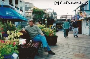[P04] Fisherman's Wharf - Pier 39 San Francisco » foto by Dan-Ioan
 - 
<span class="allrVoted glyphicon glyphicon-heart hidden" id="av550647"></span>
<a class="m-l-10 hidden" id="sv550647" onclick="voting_Foto_DelVot(,550647,5485)" role="button">șterge vot <span class="glyphicon glyphicon-remove"></span></a>
<a id="v9550647" class=" c-red"  onclick="voting_Foto_SetVot(550647)" role="button"><span class="glyphicon glyphicon-heart-empty"></span> <b>LIKE</b> = Votează poza</a> <img class="hidden"  id="f550647W9" src="/imagini/loader.gif" border="0" /><span class="AjErrMes hidden" id="e550647ErM"></span>